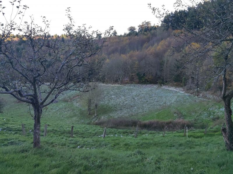 Propriété Viticole Vauxrenard